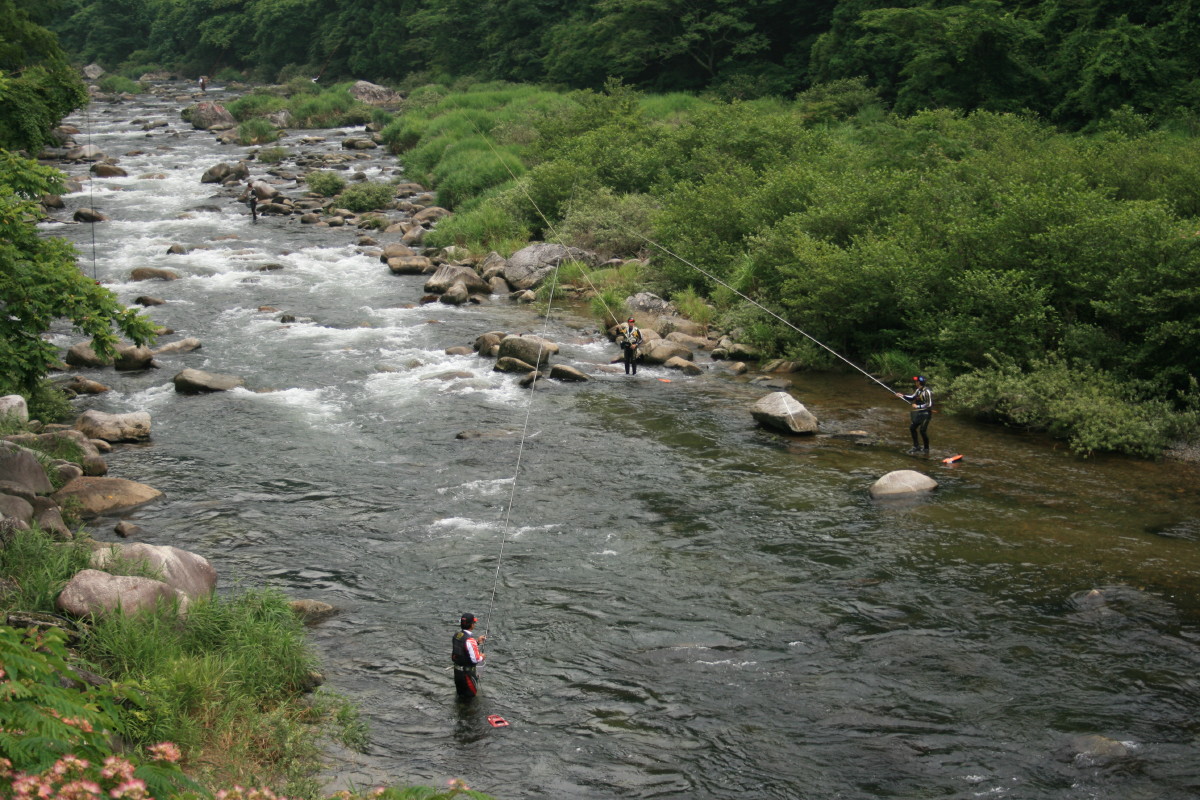 b0054622_21324429.jpg