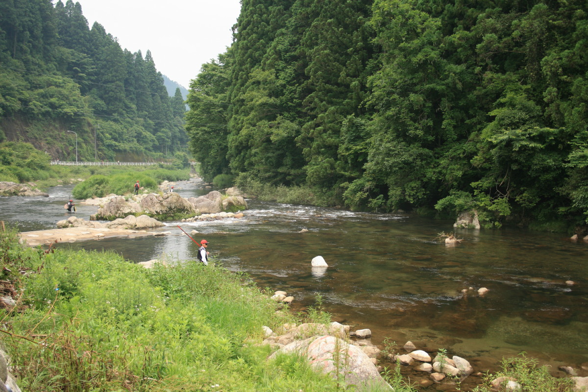b0054622_2147523.jpg