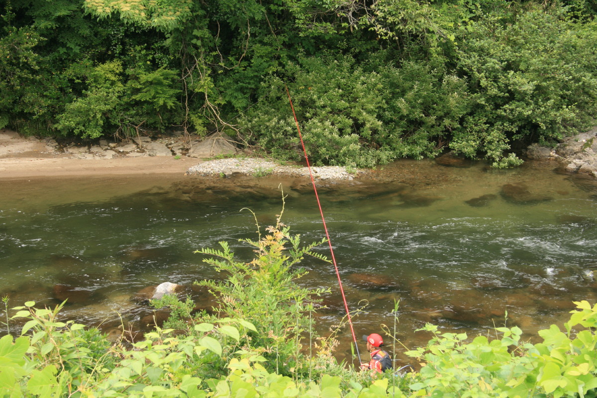 b0054622_21513476.jpg