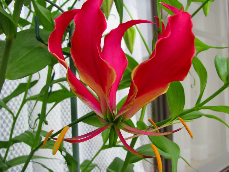 a0004023_715550.jpg