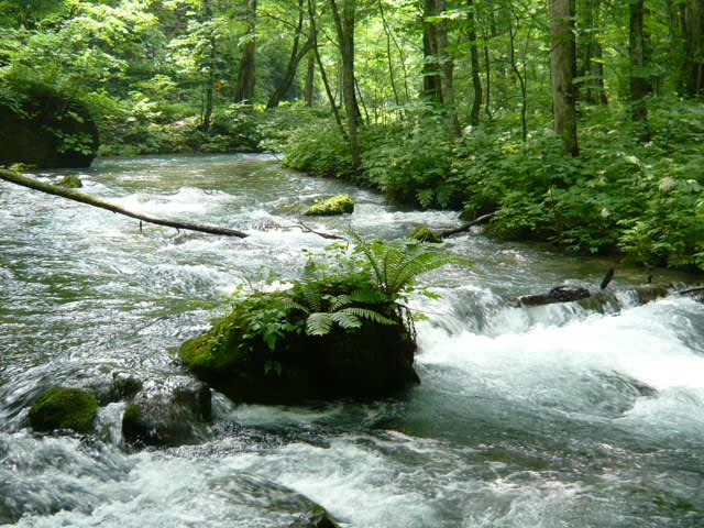 b0146123_22233547.jpg