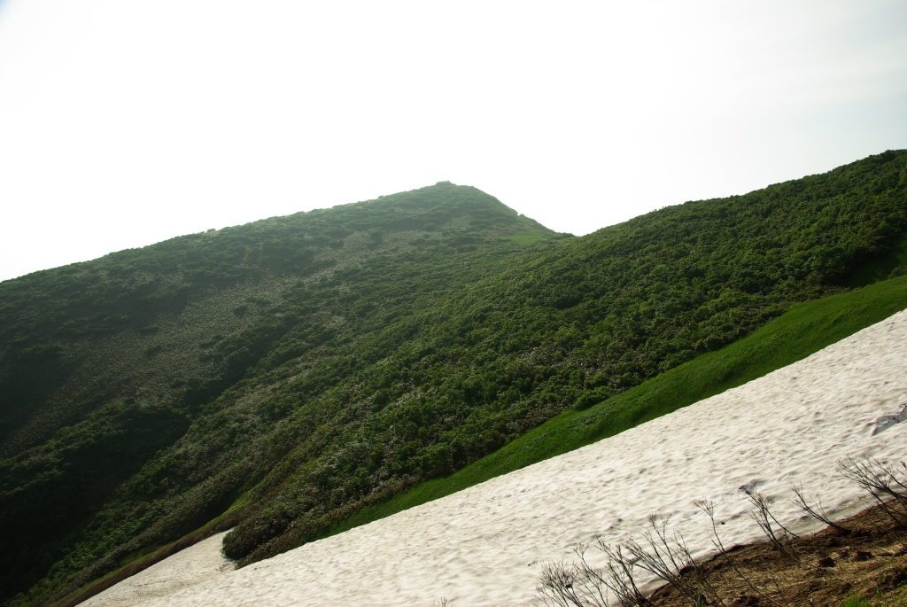 b0062024_2115225.jpg