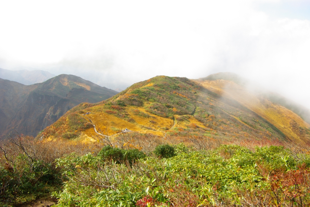 b0062024_21233456.jpg