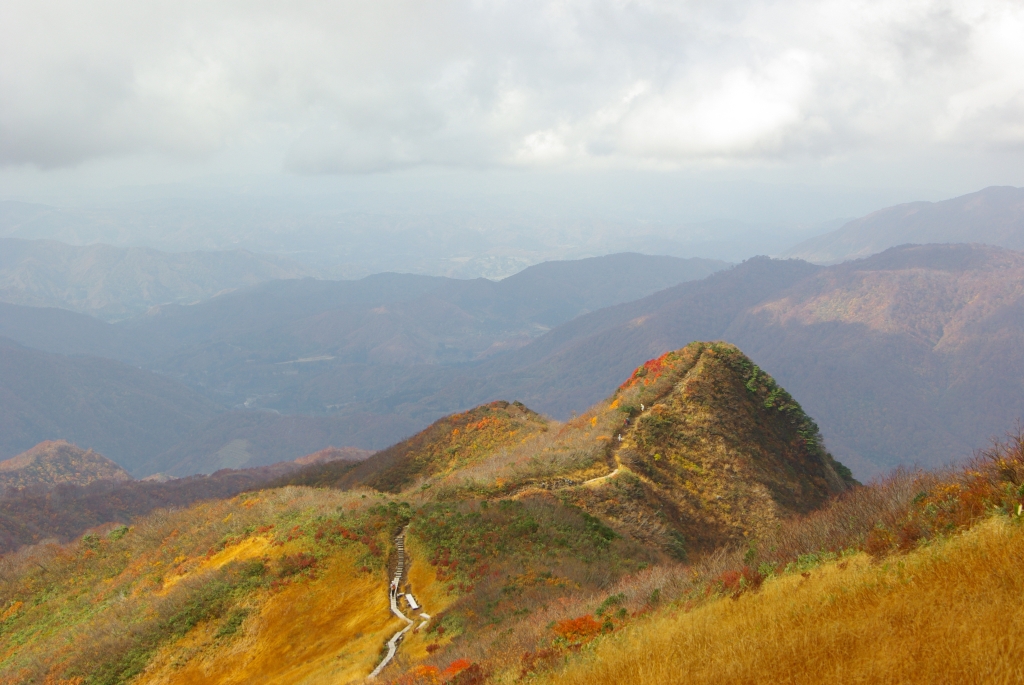 b0062024_2136312.jpg