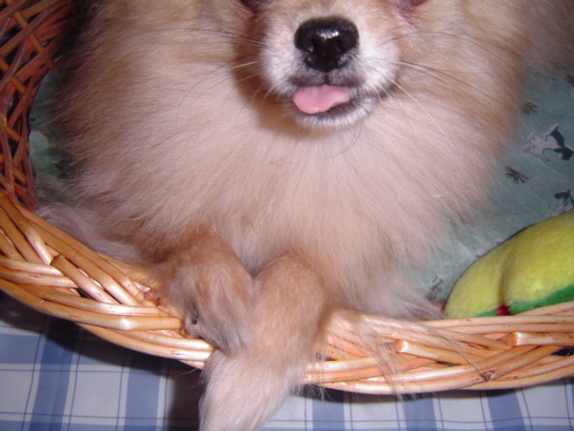 f0012924_8501121.jpg