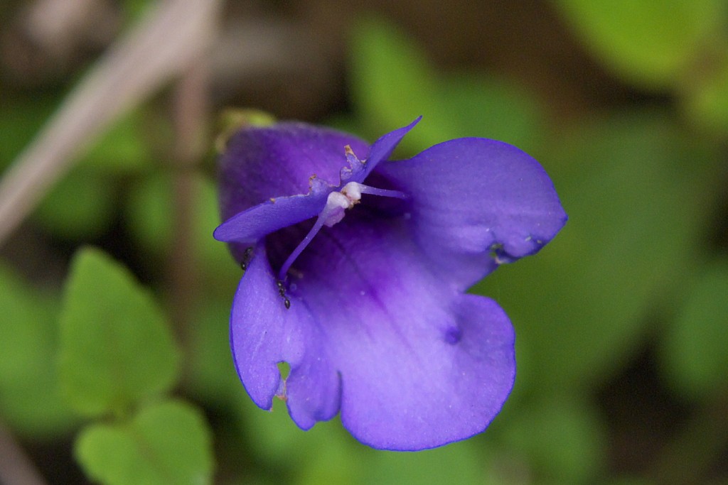 d0053930_6312860.jpg
