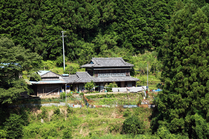 d0147530_6104591.jpg