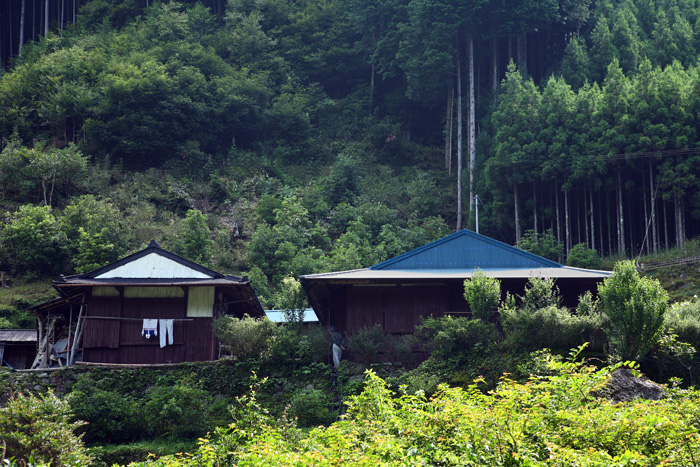 d0147530_6111037.jpg