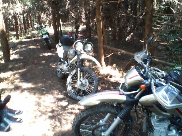 e0063632_22224029.jpg