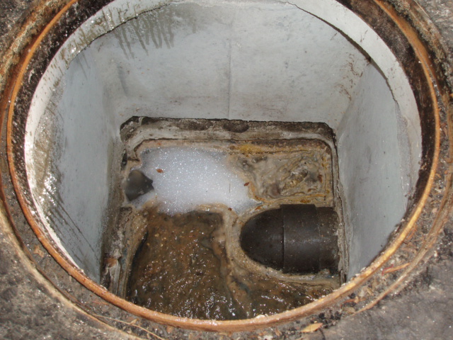 f0150933_21455026.jpg