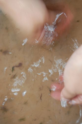 c0111535_11355187.jpg