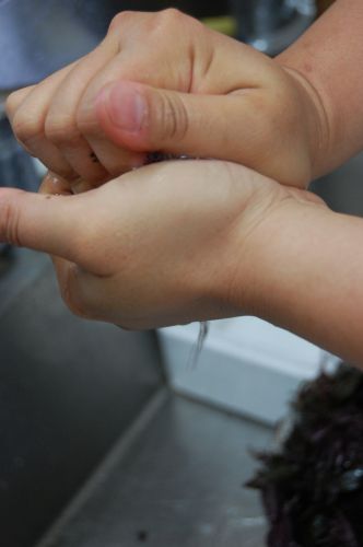 c0111535_11365241.jpg