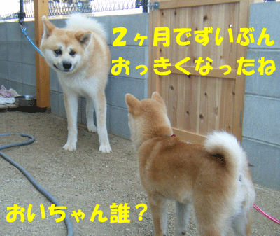 f0008935_1222019.gif