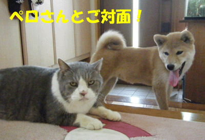 f0008935_1223399.gif