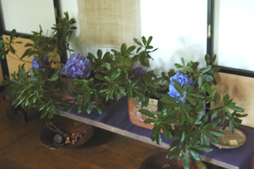 f0029536_9263843.jpg