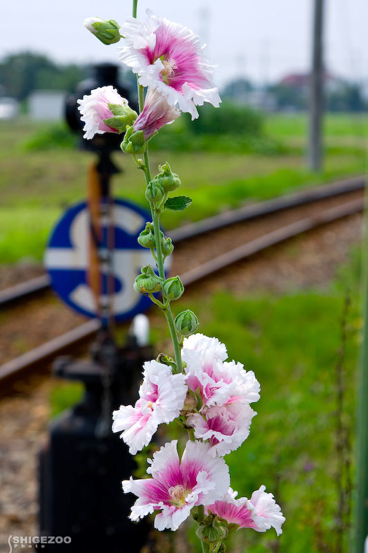 b0144437_0362829.jpg