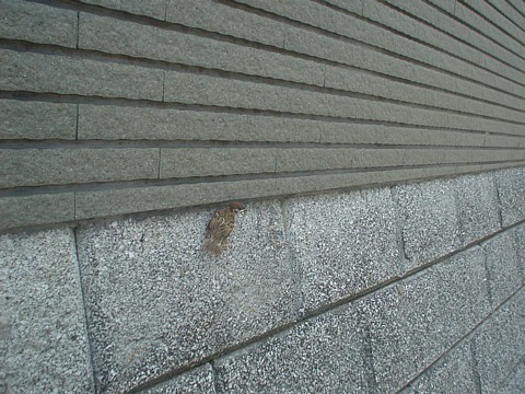 b0016043_11264857.jpg