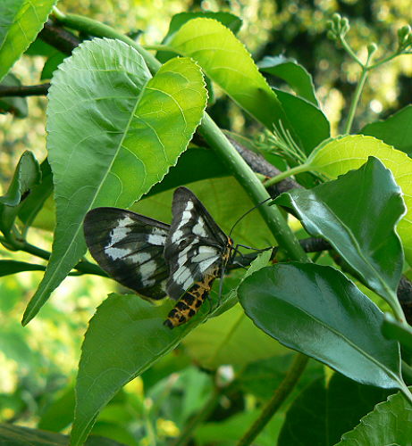 d0091754_034065.jpg