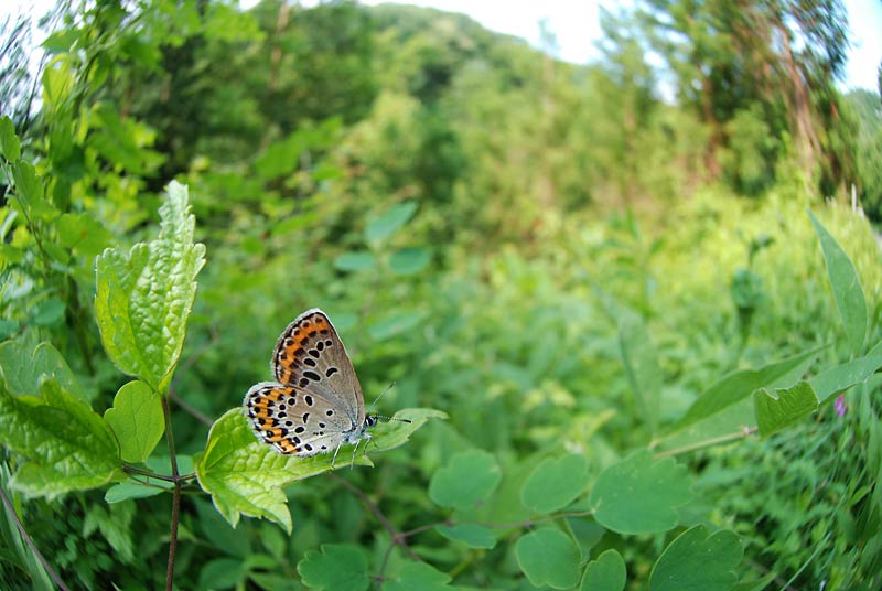 c0043361_015258.jpg