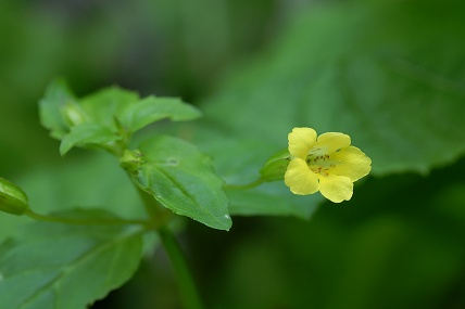 e0054067_23113079.jpg