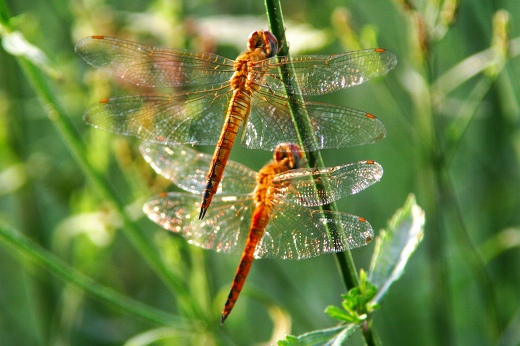 d0102968_6203641.jpg