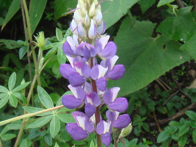 f0160069_214565.jpg
