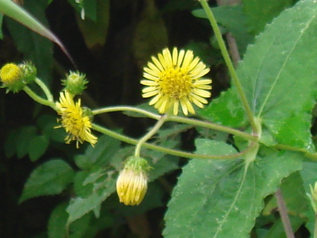 f0160069_2163633.jpg