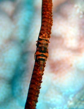 b0033573_230915.jpg
