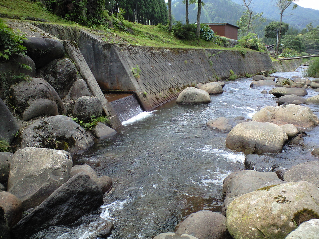a0093677_20322732.jpg