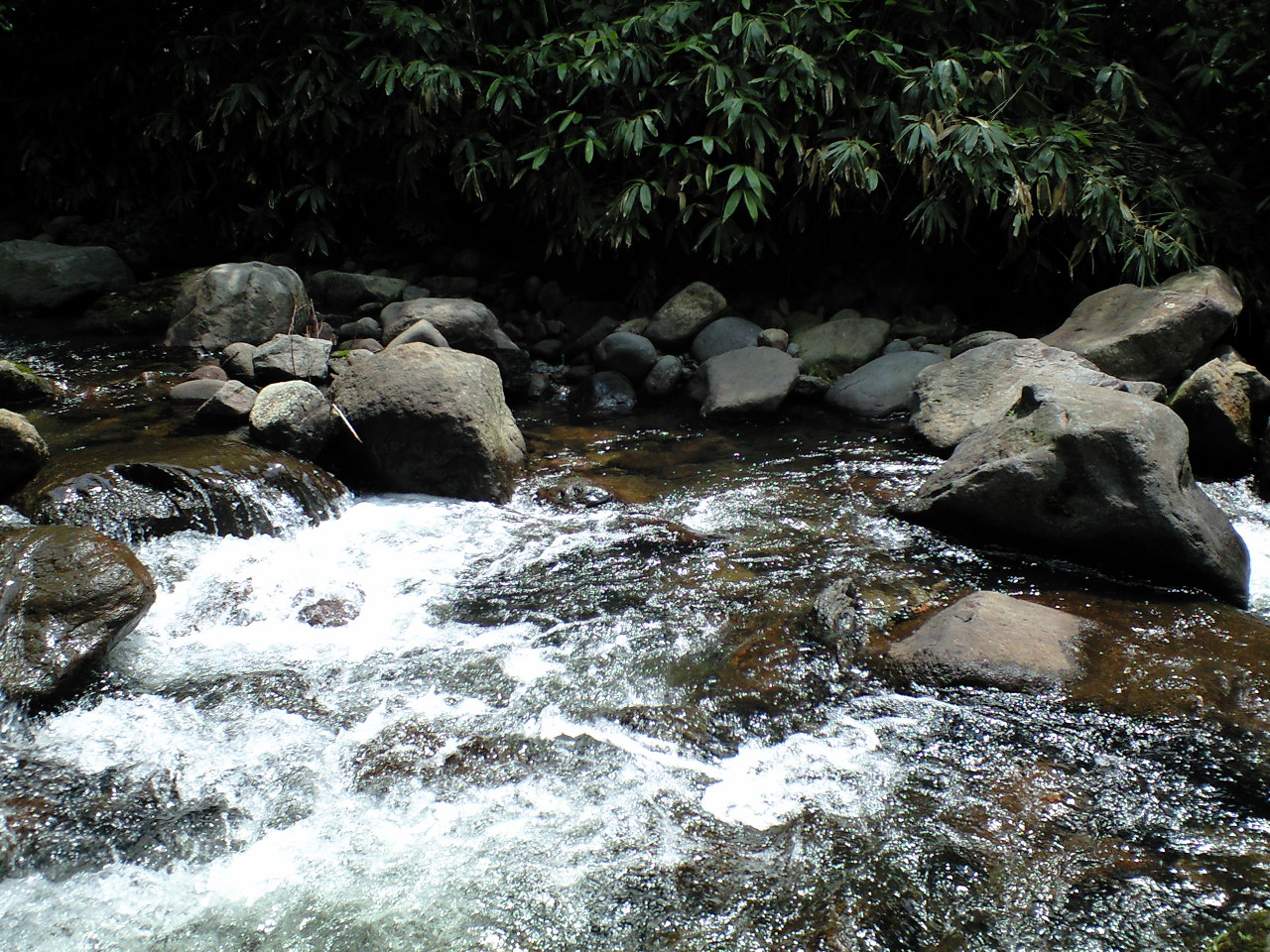 a0093677_20415593.jpg