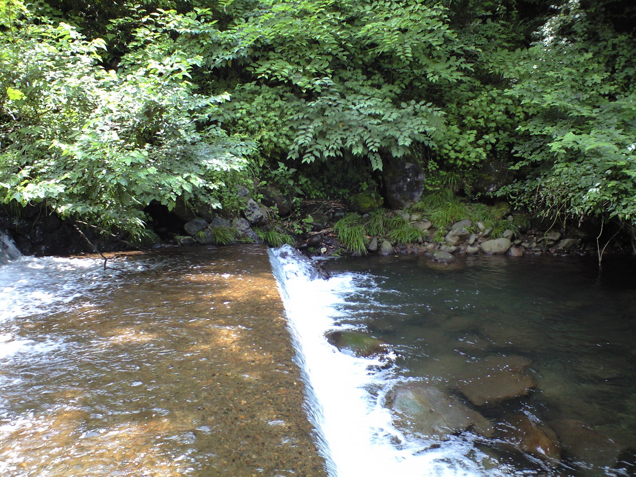 a0093677_20501645.jpg