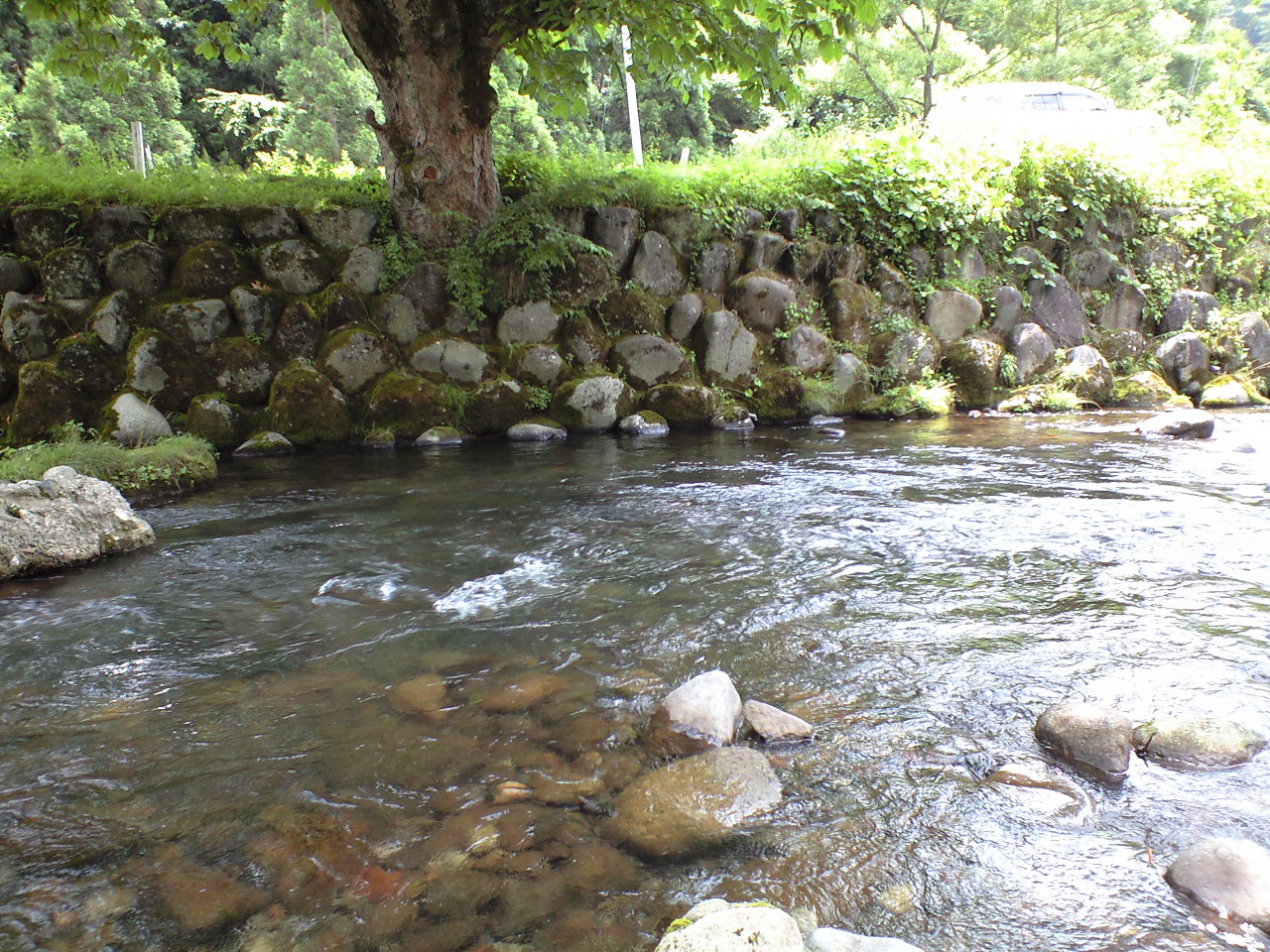 a0093677_21274572.jpg