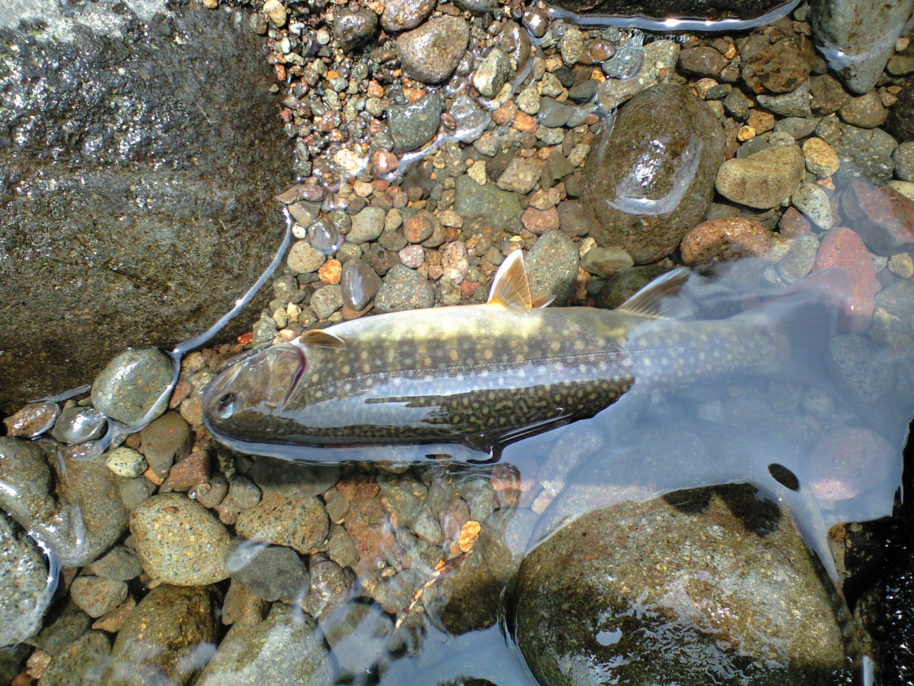 a0093677_21291591.jpg