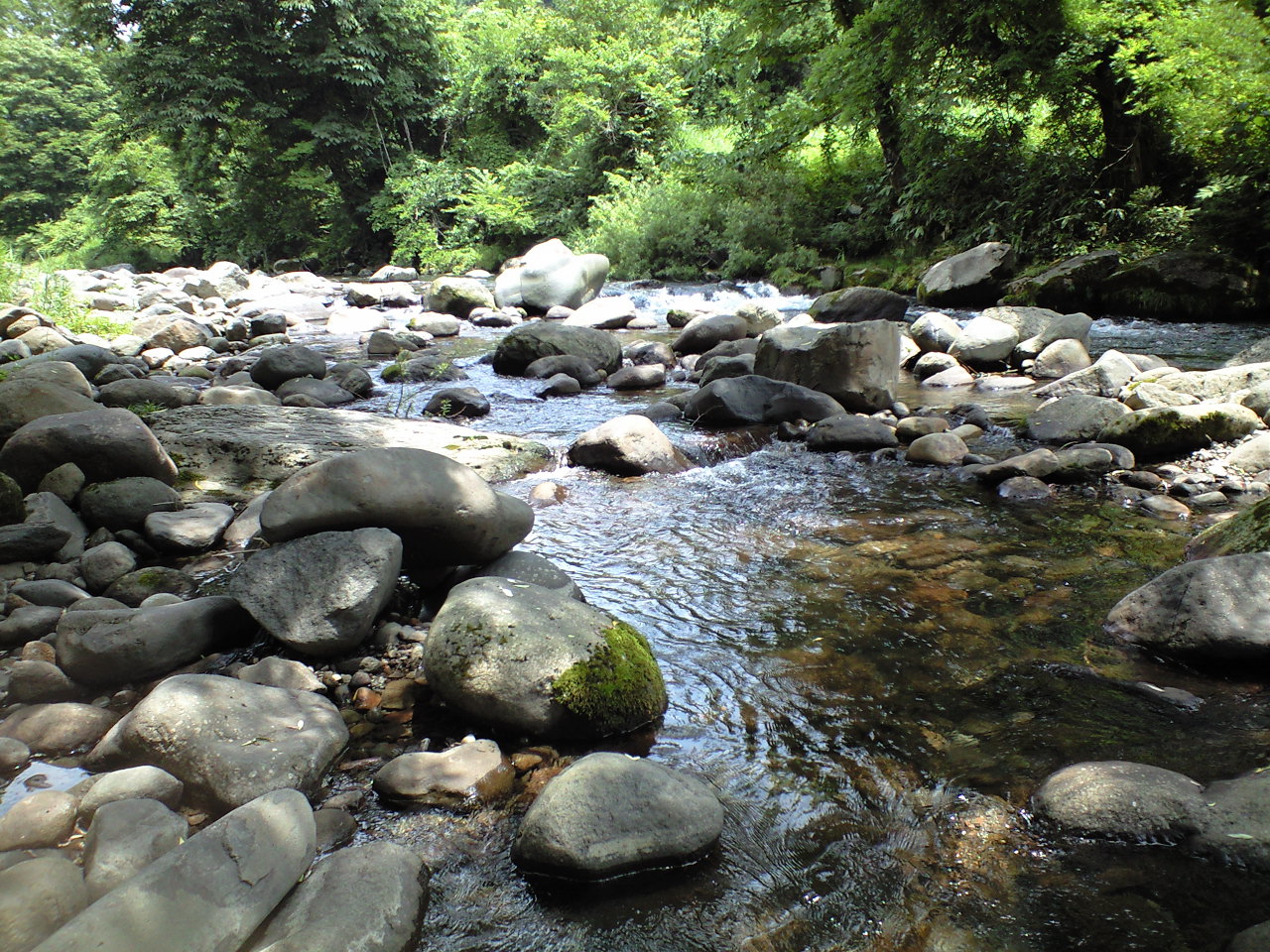 a0093677_21424349.jpg