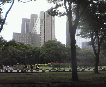 d0056881_230455.jpg