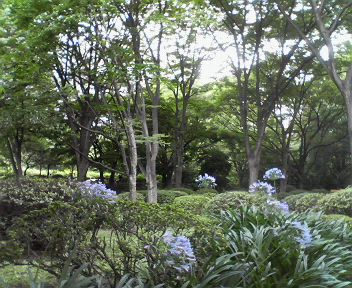 d0056881_2312582.jpg