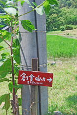 a0062983_1443356.jpg