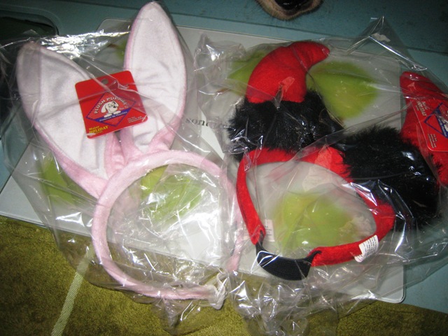 d0065484_183452.jpg