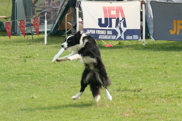 d0101385_043890.jpg