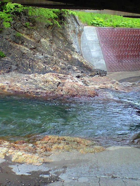 a0067991_15344492.jpg