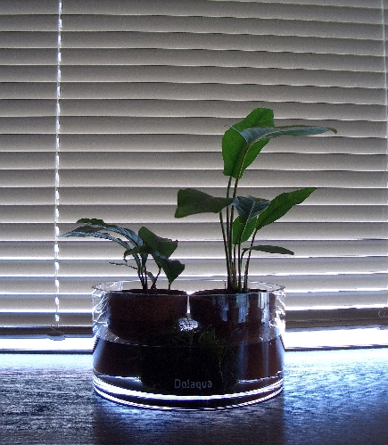 c0074591_23223444.jpg