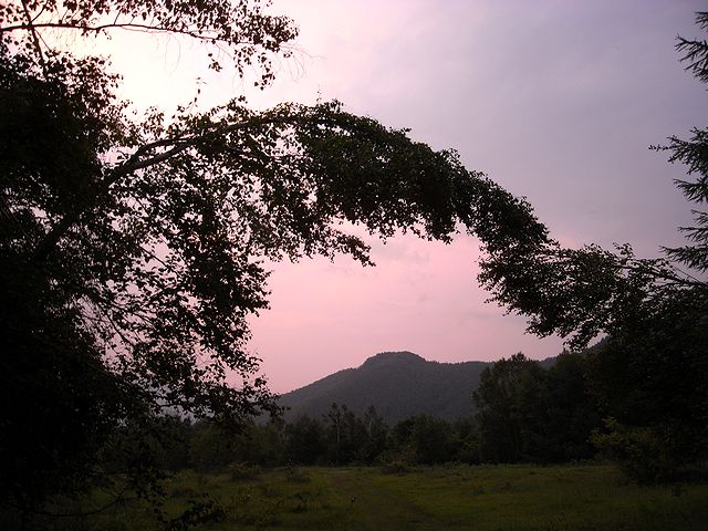 a0093592_10311768.jpg