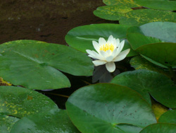 b0099994_19205572.jpg