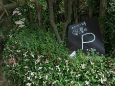 c0129702_20221431.gif