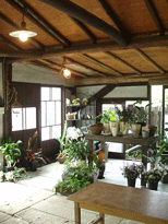 c0129702_20261597.gif