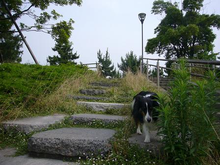 e0130008_1715825.jpg