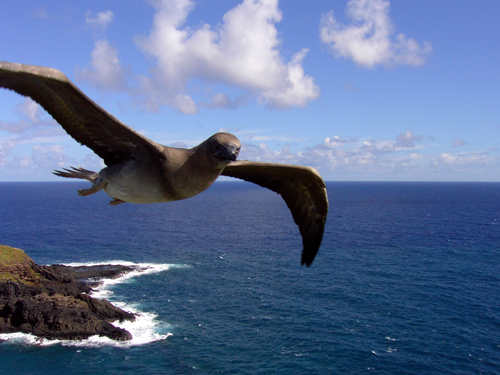 c0127909_9335674.jpg