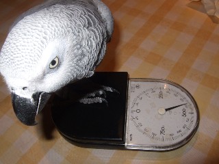 c0133013_10365474.jpg