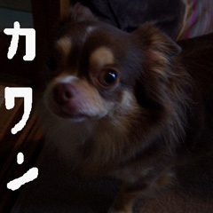 c0036617_18462528.jpg