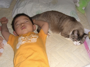 a0048721_20113167.jpg